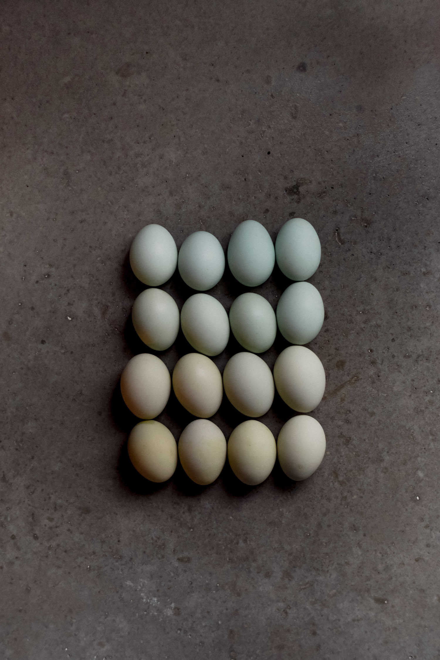 Easter Egger Egg Colors by Comparison Oak Abode