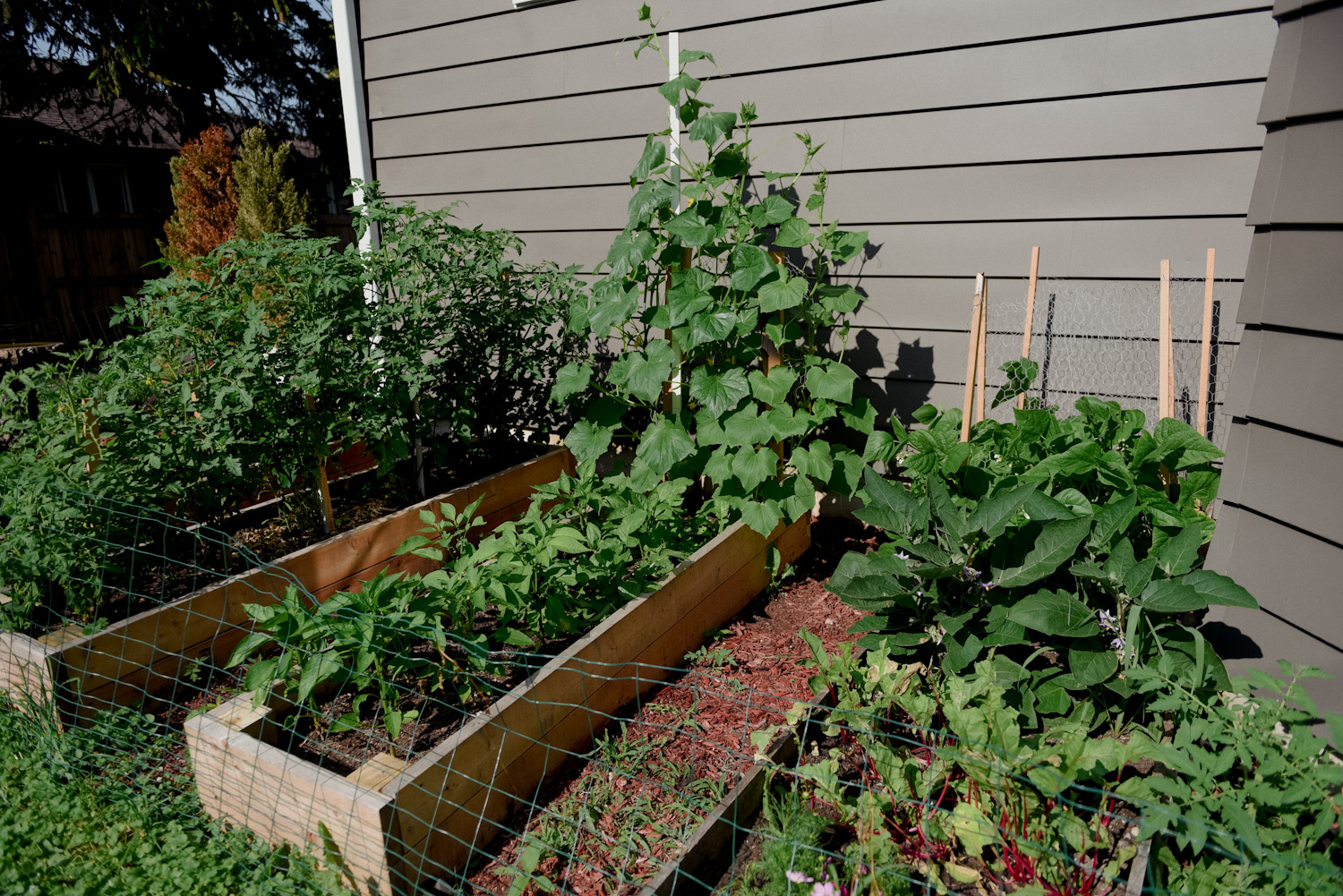 Untreated Pine Raised Garden Bed 