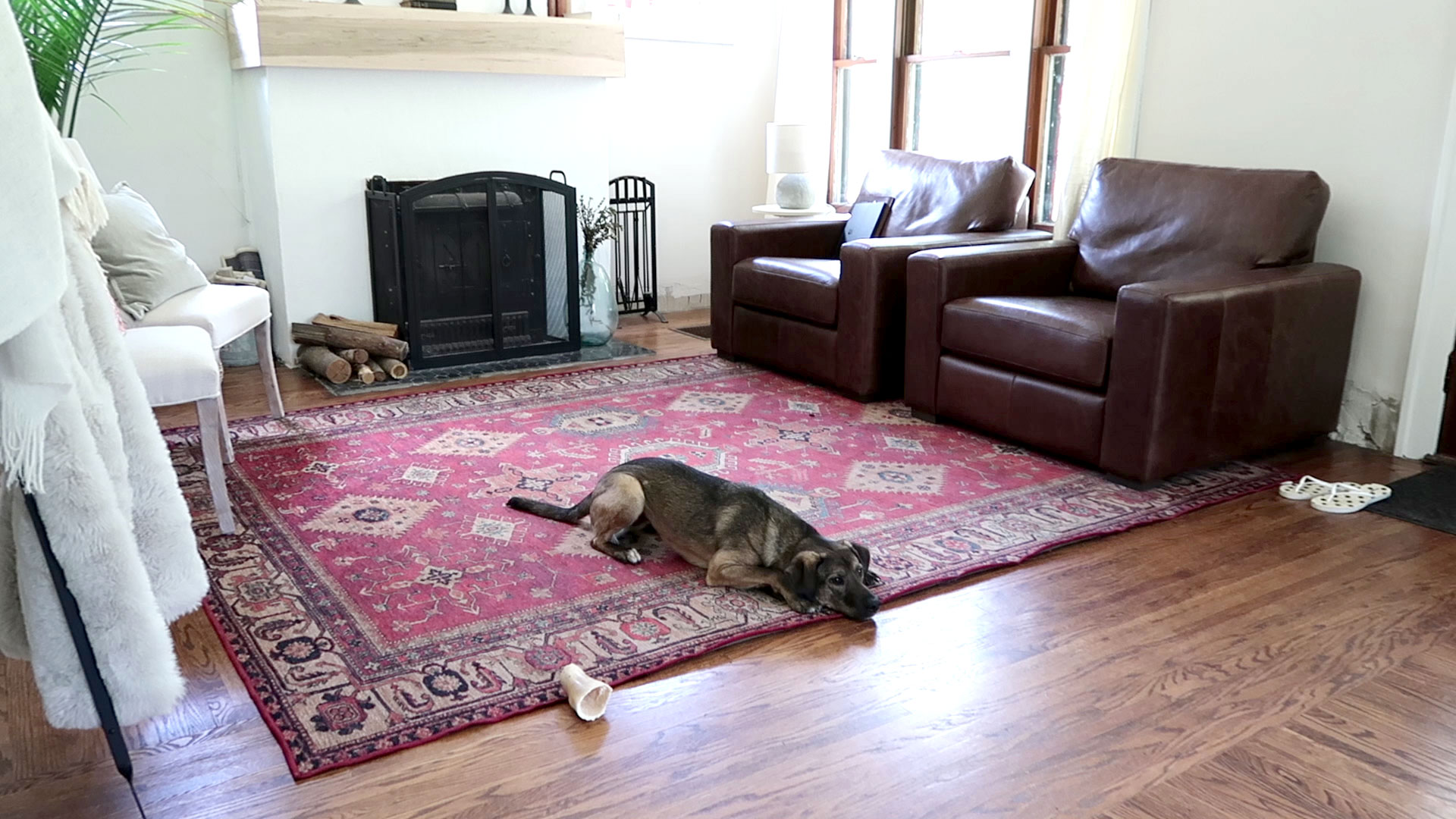 Ruggable Review: An Easy-to-Wash Area Rug